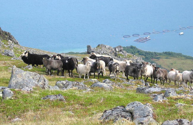 6 Person Holiday Home in Alsvag-by Traum - Photo 14