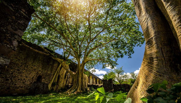 Ancienne Hacienda San Juan Bautista