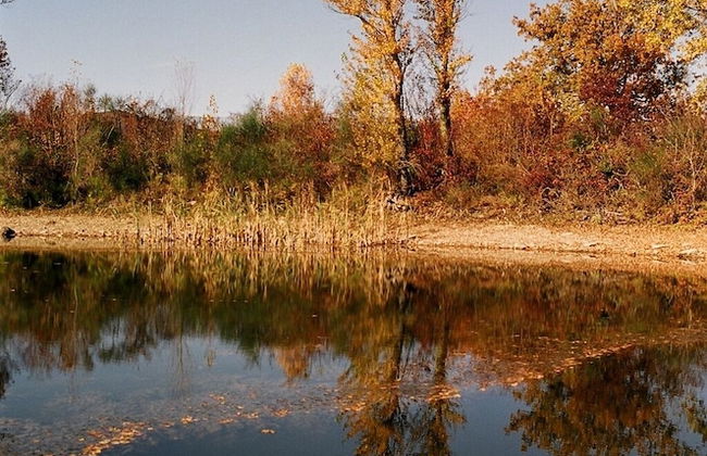 Bio Agriturismo La Cerqua - Foto 63