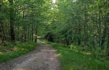 La bohème - Foto 27