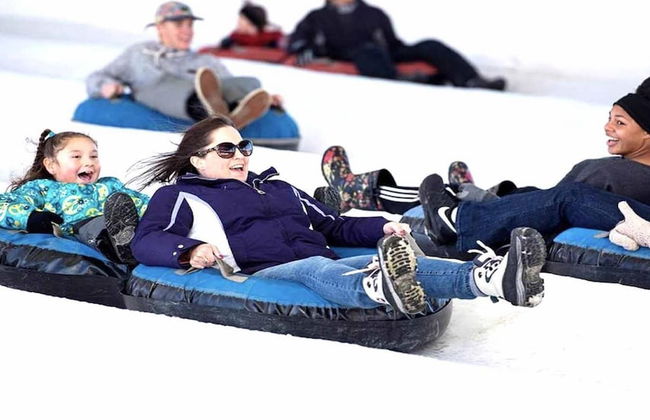 7 Room Saddlebrook Golf SPA Villa 5BR 4BA - Photo 47