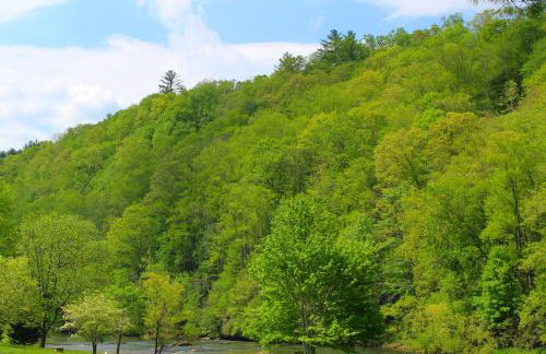 Rivers Edge - Photo 54