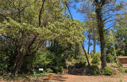 Pavillon La Ruine - Foto 10