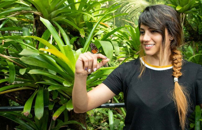 Rainforest Atlantic Adventure Park Visit - Foto 3