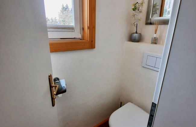 Kitzbühel Apartments Haus Brugger - Foto 43