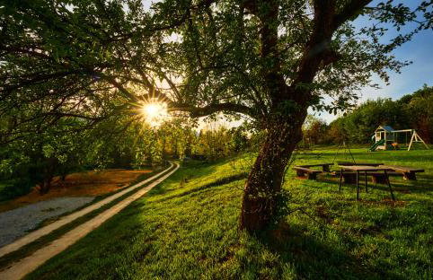 Ponikwa36 Dom Na Urlop w Górach - Foto 28