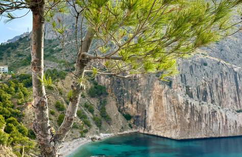 Can Luc Altea - Photo 1