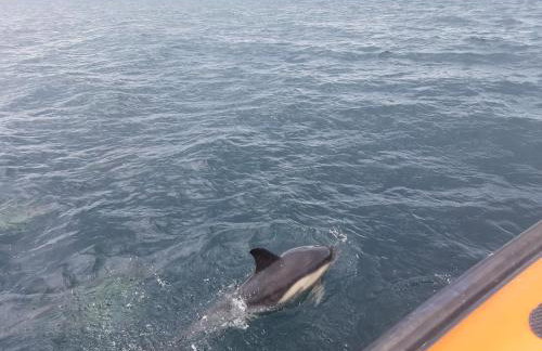 Glebe Cottage, Little Petherick, near Padstow - Foto 41