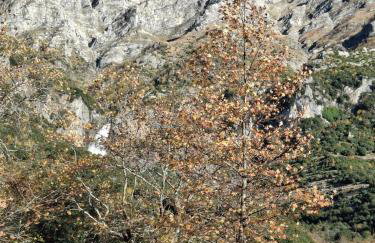 orminia house upper level - Foto 22