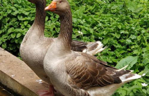 Casa Santana - Foto 25