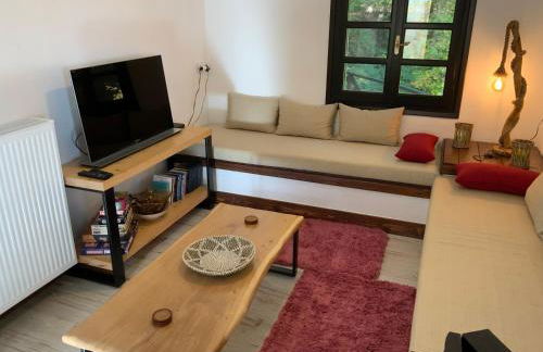 Pelion 7 Lives - Foto 74