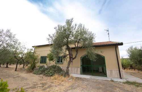 BasicNature - Foto 33