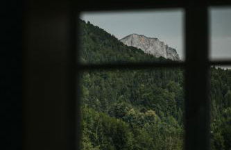 Haus Bergfrieden - Foto 31