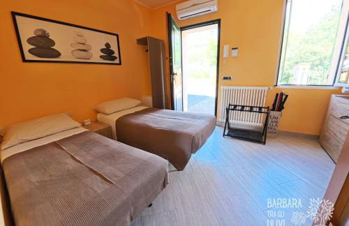 Barbara tra gli Ulivi - Foto 24