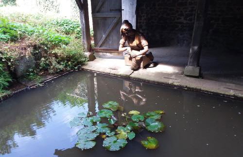 L'Orchidée - Photo 34