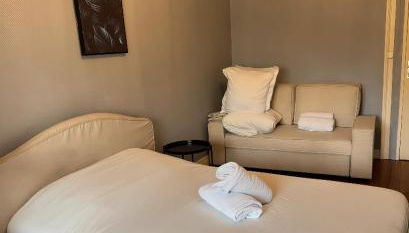 Élégant T2 rénové à Lyon Perrache - Photo 3