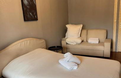 Élégant T2 rénové à Lyon Perrache - Photo 3