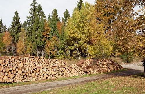Ferienwohnung im Schwarzwald mit Garten - Foto 80