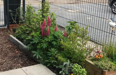 Feriendomizil Dornum Haus Margarete mit Wallbox - Foto 29