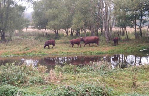 Villa Hinterland - Foto 28