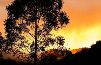 Chalé romântico super privativo com hidro e café - Photo 30