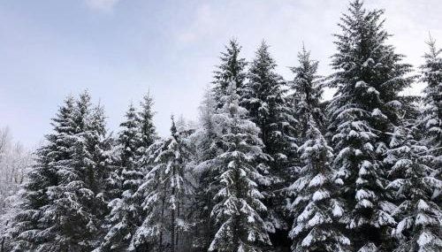 Holiday house On the riverside - Foto 4