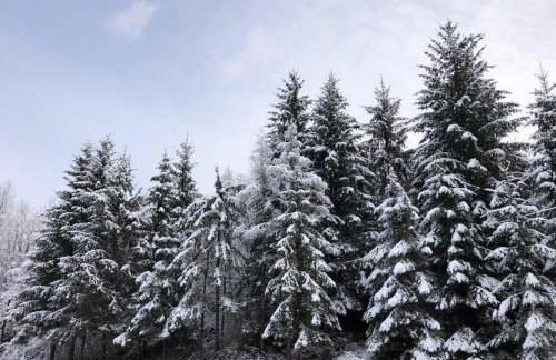 Holiday house On the riverside - Foto 4