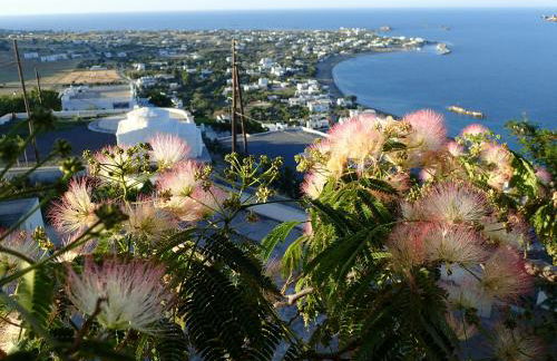 Eastern Wind Home - Foto 6