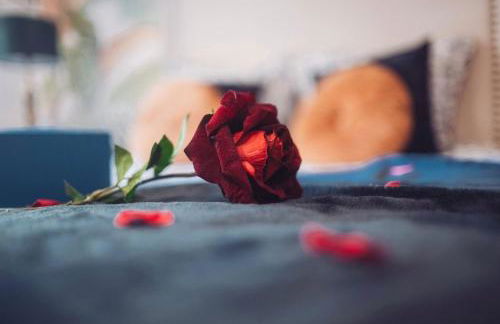 Spa-Sauna-Ciel de pluie tropicale-Champagne Nuit Romantique - Escapade Mâconnaise - Foto 9