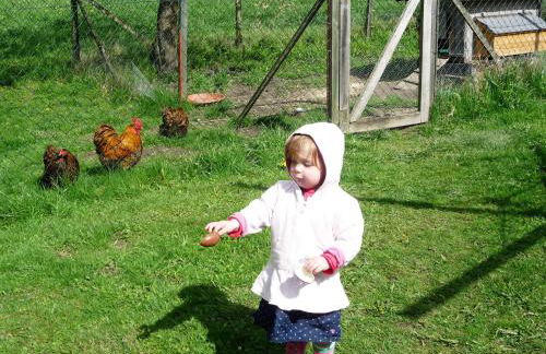 Ferienhof Landhaus Michael - Foto 61