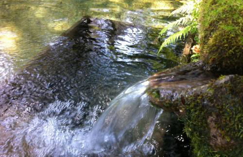 Eira das Carvalhas - Foto 23