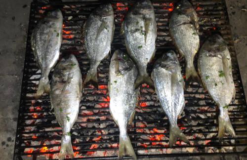 Apartman Školj - Photo 20