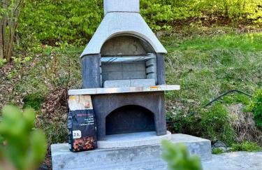 Pod Srebrzystym Świerkiem - Jacuzzi - Foto 33