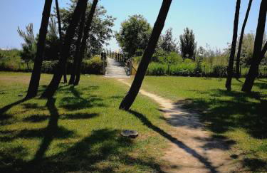 Corallo Cavallino - Foto 59