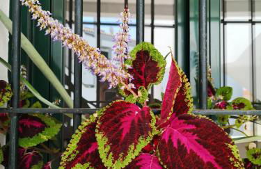 Apartamento Las Brisas - Photo 26