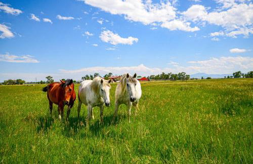 Private Clark Ranch Retreat with Mountain Views! - Foto 45