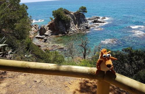 RESIDENTIAL FLAT Lloret de Mar (Nex - Foto 14