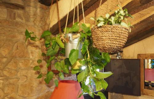 Mas Cal Sastre - Foto 79