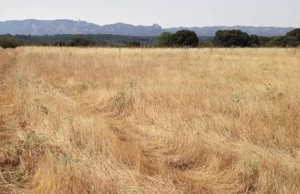 La Maison perchée - Mas de Rousseau - Foto 19