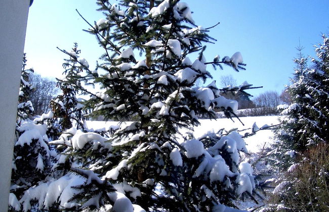 Ferienhaus BLACK & WHITE - Photo 51