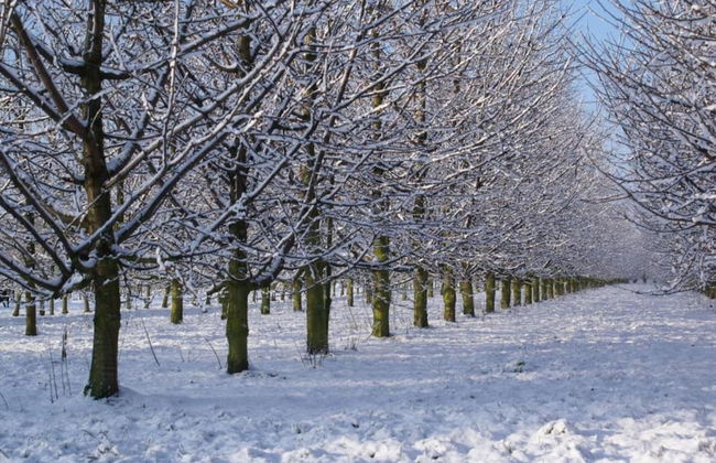 Zoutleeuw Home With Pool - Foto 39