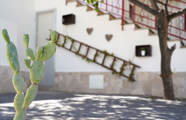 Il Colibrì - Arcuève - Photo 30