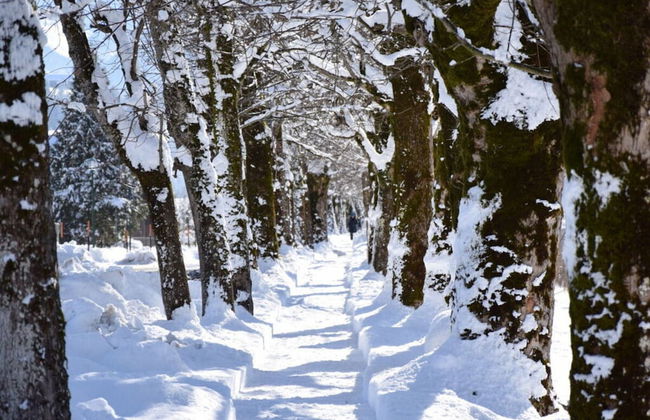 Apartment Bar Comfortable Holiday Residence - Photo 15
