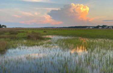 COFFEE on THE BEACH WINE on THE MARSH DOCK - Foto 21