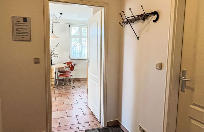 Zaunkönig - Foto 11