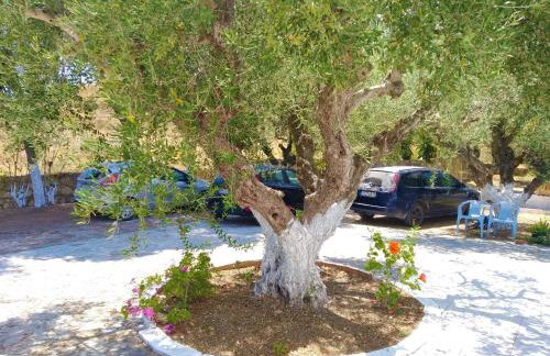 Blue Studios by Irene - Photo 21