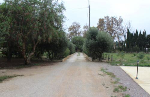 Mas de l'Olivier - Foto 27