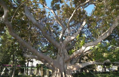 Atico Centro Historico - Foto 30