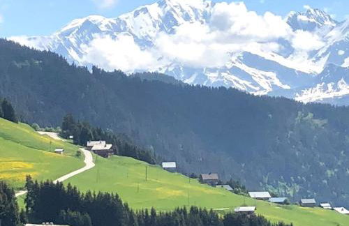 La Perle des Alpes C10 Apart.4* #Yolo Alp Home - Foto 40