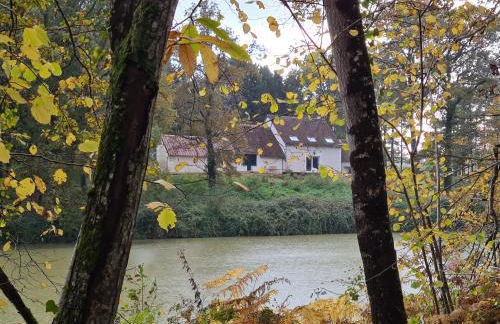 Domaine des Aulnaies - Beauval - Mareuil sur Cher - Foto 20